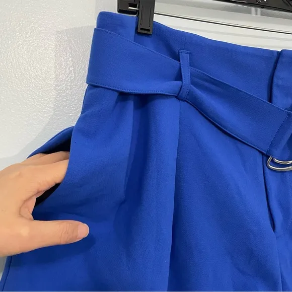 Anthropologie Maeve Blue Tailored Paperbag Shorts Size 14 NWT