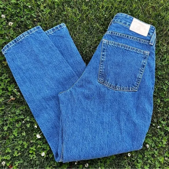 Everlane The Curvy Cheeky 90's Straight Leg High RiseButton Fly Jeans | size 29