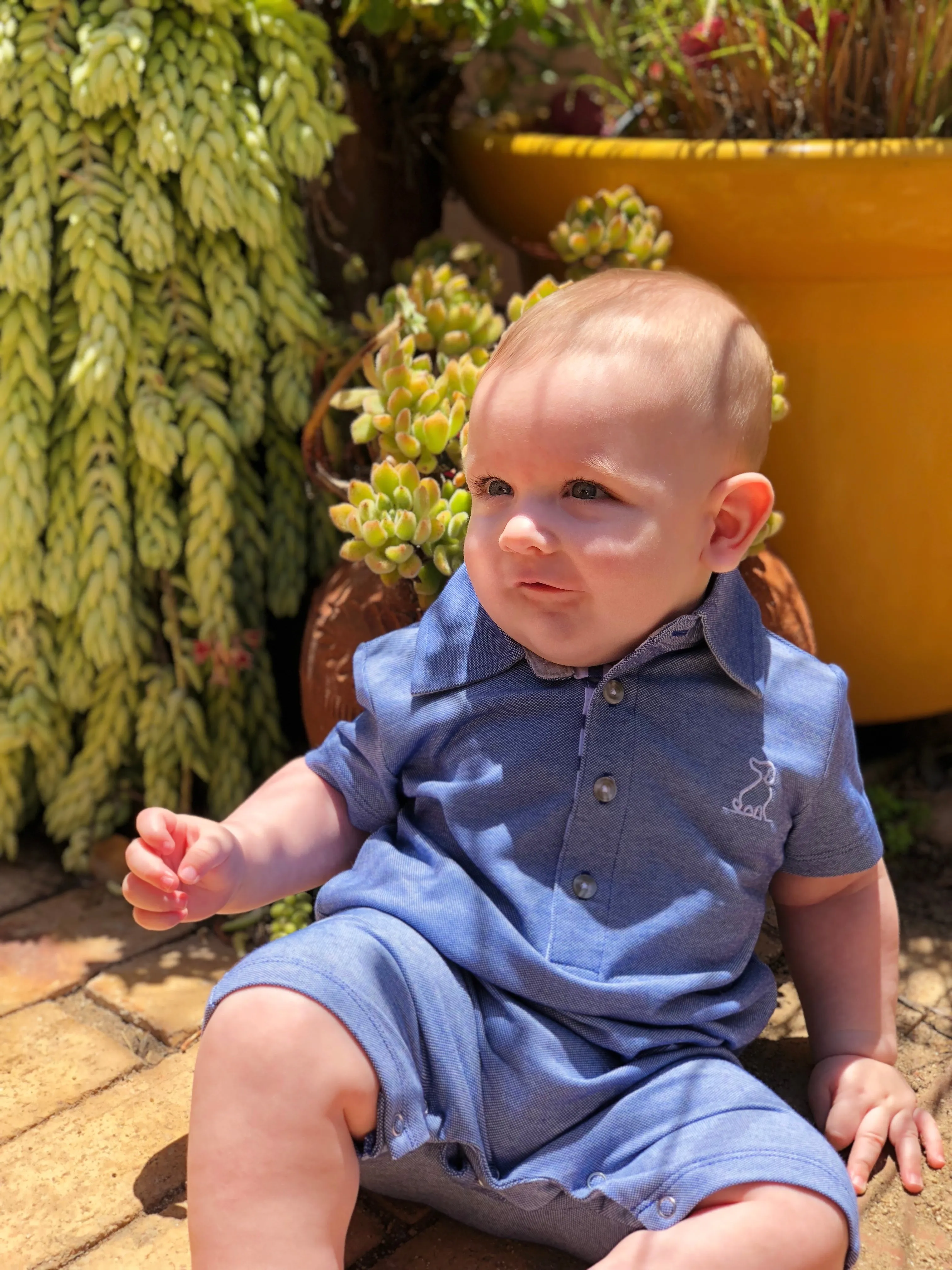 Me & Henry Blue Pique Polo Romper