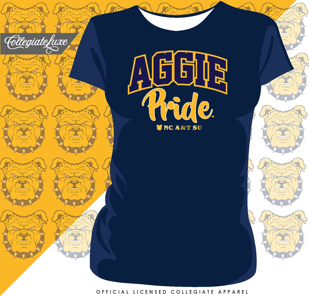 NC A&T AGGIES | PRIDE ARCH Ladies Tees (**)