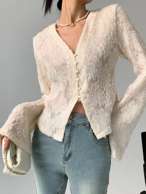 Semi-Sheer V-Neck Ruffle Long Sleeve Blouse