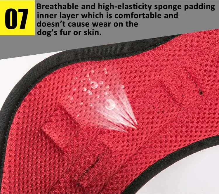 Truelove Outdoor Adventure Dog Harness  Model Number: TLH5753