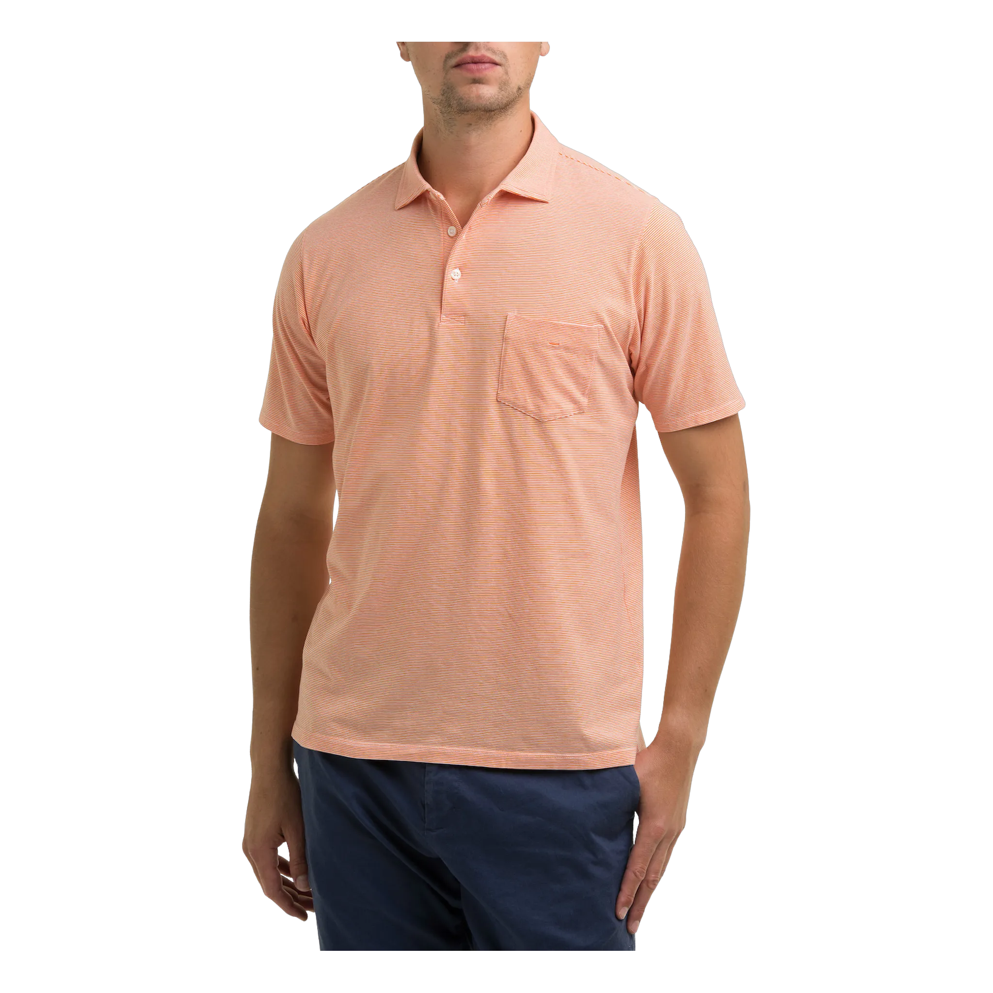 Vin Polo